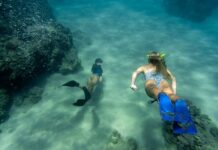 Tips for Taking Great Photos with an Underwater Camera Underwater Camera